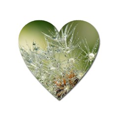 Dandelion Magnet (Heart)