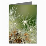 Dandelion Greeting Card (8 Pack) Left