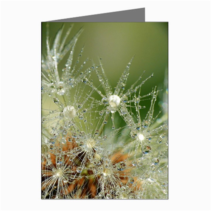 Dandelion Greeting Card (8 Pack)