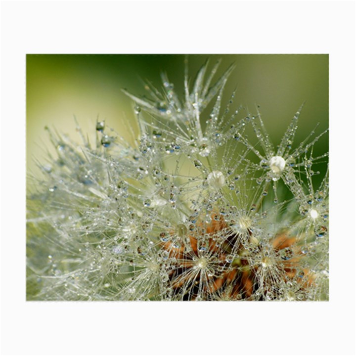 Dandelion Glasses Cloth (Small)