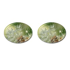 Dandelion Cufflinks (Oval)