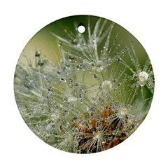 Dandelion Round Ornament (two Sides) by Siebenhuehner