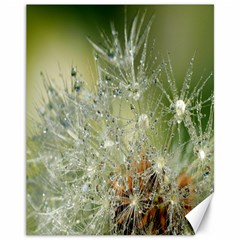 Dandelion Canvas 11  x 14  (Unframed)