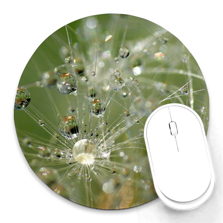 Dandelion 8  Mouse Pad (Round)