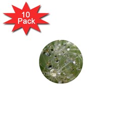 Dandelion 1  Mini Button Magnet (10 Pack) by Siebenhuehner