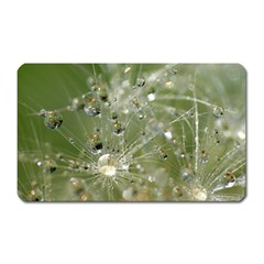 Dandelion Magnet (rectangular) by Siebenhuehner