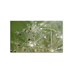 Dandelion Sticker 10 Pack (rectangle) by Siebenhuehner