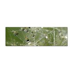 Dandelion Bumper Sticker 100 Pack Front