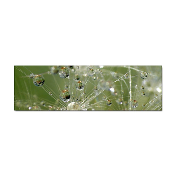 Dandelion Bumper Sticker 100 Pack