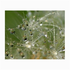 Dandelion Glasses Cloth (small) by Siebenhuehner