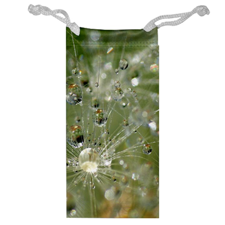 Dandelion Jewelry Bag