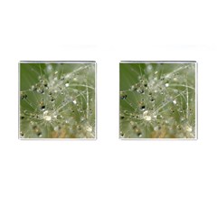 Dandelion Cufflinks (square) by Siebenhuehner