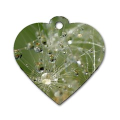 Dandelion Dog Tag Heart (one Sided)  by Siebenhuehner