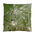 Dandelion Cushion Case (Single Sided)  Front