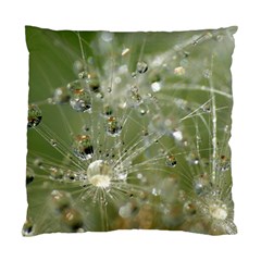 Dandelion Cushion Case (two Sided)  by Siebenhuehner