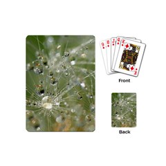 Dandelion Playing Cards (mini) by Siebenhuehner