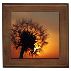 Dandelion Framed Ceramic Tile by Siebenhuehner