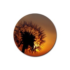 Dandelion Drink Coasters 4 Pack (round) by Siebenhuehner