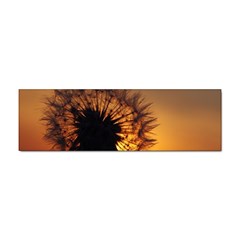 Dandelion Bumper Sticker 10 Pack by Siebenhuehner