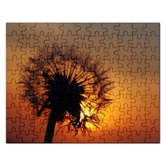 Dandelion Jigsaw Puzzle (rectangle) by Siebenhuehner