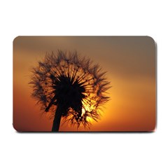 Dandelion Small Door Mat by Siebenhuehner