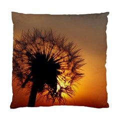 Dandelion Cushion Case (two Sided)  by Siebenhuehner