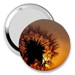 Dandelion 3  Handbag Mirror Front