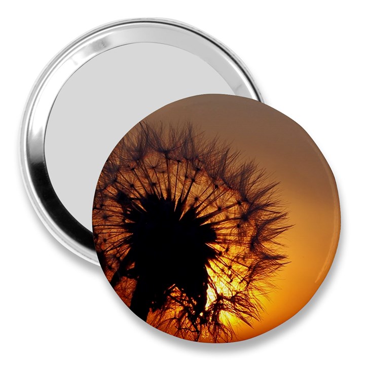 Dandelion 3  Handbag Mirror