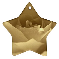 Rose  Star Ornament by Siebenhuehner