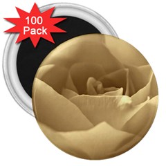 Rose  3  Button Magnet (100 Pack) by Siebenhuehner