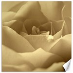 Rose  Canvas 16  x 16  (Unframed) 15.2 x15.41  Canvas - 1