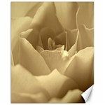 Rose  Canvas 16  x 20  (Unframed) 15.75 x19.29  Canvas - 1