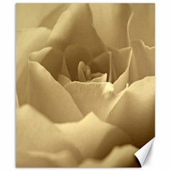 Rose  Canvas 20  X 24  (unframed) by Siebenhuehner