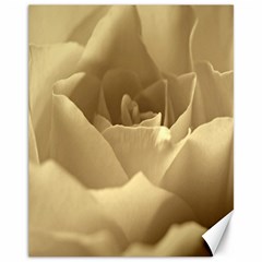 Rose  Canvas 11  X 14  (unframed) by Siebenhuehner