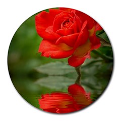 Rose 8  Mouse Pad (round) by Siebenhuehner