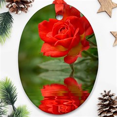 Rose Oval Ornament by Siebenhuehner