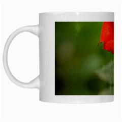 Rose White Coffee Mug by Siebenhuehner