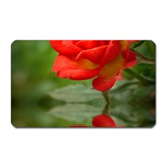 Rose Magnet (rectangular) by Siebenhuehner