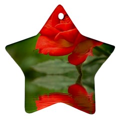 Rose Star Ornament (two Sides) by Siebenhuehner