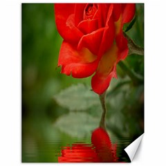 Rose Canvas 18  X 24  (unframed) by Siebenhuehner