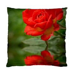 Rose Cushion Case (two Sided)  by Siebenhuehner