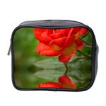 Rose Mini Travel Toiletry Bag (Two Sides) Front