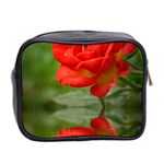 Rose Mini Travel Toiletry Bag (Two Sides) Back