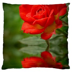 Rose Large Cushion Case (two Sided)  by Siebenhuehner