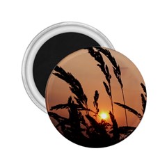 Sunset 2 25  Button Magnet by Siebenhuehner