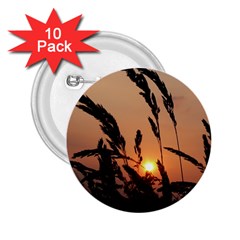 Sunset 2 25  Button (10 Pack) by Siebenhuehner