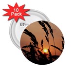 Sunset 2.25  Button (10 pack) Front