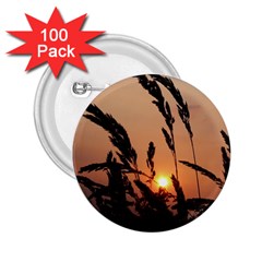 Sunset 2 25  Button (100 Pack) by Siebenhuehner