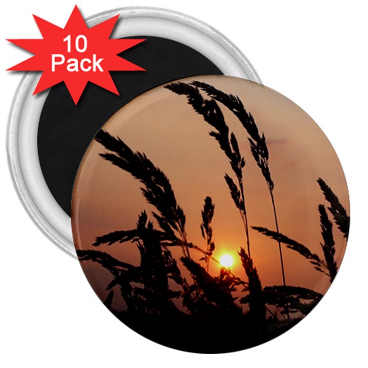 Sunset 3  Button Magnet (10 pack)