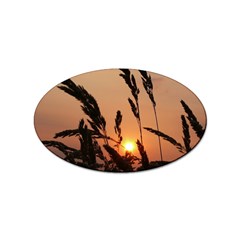 Sunset Sticker 100 Pack (oval)